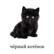 Колесников Глеб Дмитриевич Колесников Глеб Дмитриевич