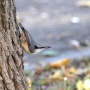 Долгая Татьяна Долгая Татьяна