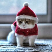 Мякушина Светлана