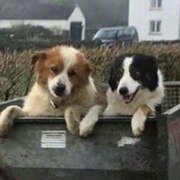 Кашапов Тимур Равкатович