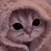 Старостина Полина Сергеевна