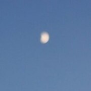 Жихарева Александра Игоревна