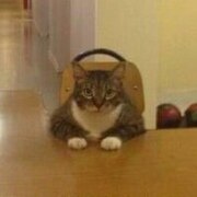 Андикаев Алексей Викторович