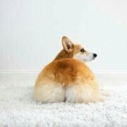 Огрызко Юлия Вячеславовна