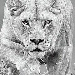 Ирина Юрьевна Водолагина