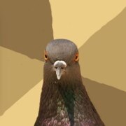 Нурмагомедов Насрулла