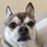 Лукьяненко Эдуард Григорьевич