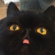 Воронов Михаил Александрович