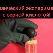 Алексеев Алексей Евгеньевич