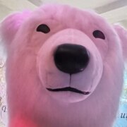 Бондаренко Татьяна