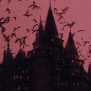 Кучинаева Дарина Муратовна