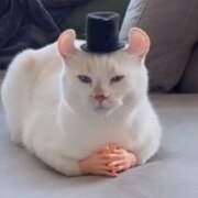 Артём Вислоцкий Петрович