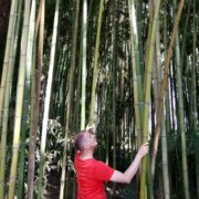 Масаев Михаил