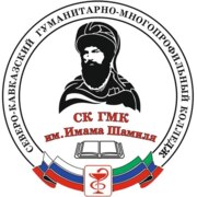 Исмаилова Анжела Рамизовна