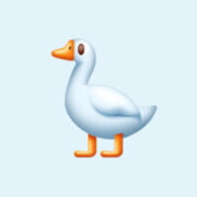 Бадретдинова Лиана Ильдусовна