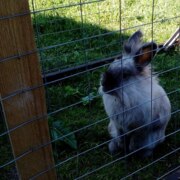 Журавлев Никита Журавлев Никита