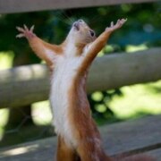 Николаевич Виталий Николаевич Виталий