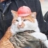 Ананич Степан Андреевич Ананич Степан Андреевич