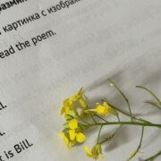 Нургаджиева Диана Нургаджиева Диана