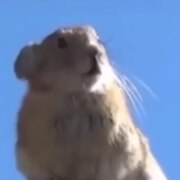 Сысоев Илия