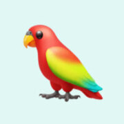 Исаева Патимат Багомедовна