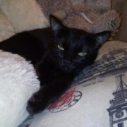 Юдалевич Татьяна Сергеевна