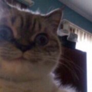 Постольский Данил Евгеньевич