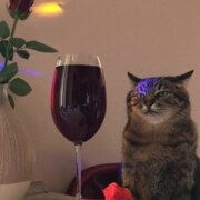 Джакупова Радмила Руслановна Джакупова Радмила Руслановна