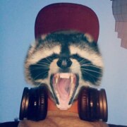 Рябцев Тимофей Олегович