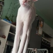 Тажбулатов Вадим Алексеевич Тажбулатов Вадим Алексеевич