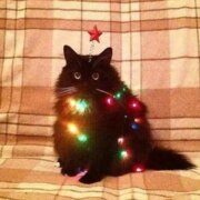 Магомедова Заира