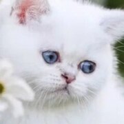 Терницкая Виктория Игоревна Терницкая Виктория Игоревна