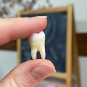 Ибрагимова Фарида Ибрагимова Фарида