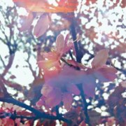 Андрианова Мария Борисовна Андрианова Мария Борисовна