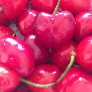 Егорова Эжана Егорова Эжана