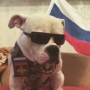Редин Денис Евгеньевич Редин Денис Евгеньевич