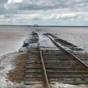 Гололобов Артем