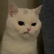 Максименко Виктория Александровна Максименко Виктория Александровна