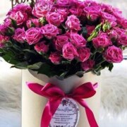 Химич Елена Викторовна