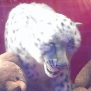 Бакунович Мария Павловна