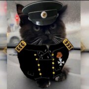 Суворов Матвей Вадимович