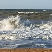 Яшкина Елена Александровна