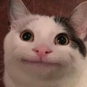 Седышева Анна Седышева Анна