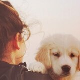 Тенятникова Екатерина