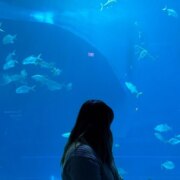 Андреева Аисена Борисовна