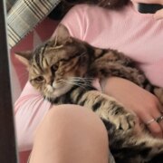 Комиссарова Мария Владимировна