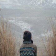 Никоненко Дария