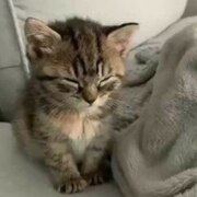 Некрасова Оля