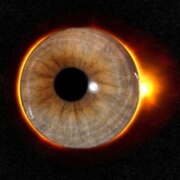 Колосов Никита