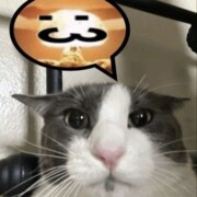 Шмидт Карина Максимовна